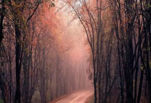 国际奥委会举行第144次全会.