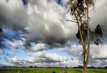 小伙把鱼钩直接绑在手指上钓鱼，上鱼场面相当炸裂.