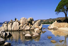 巅峰国际官网：美职棒常规赛东京揭幕 道奇队取得“开门红”2025-03-20.